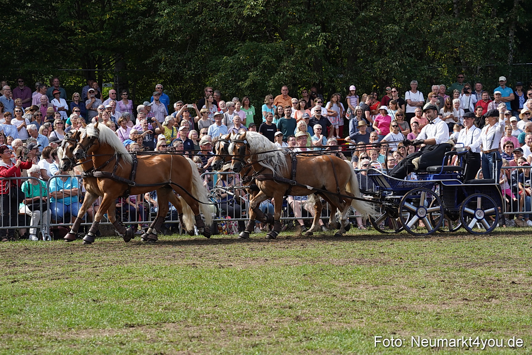 Pferde und Fohlenschau 2022 0250 